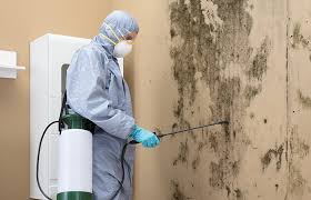 Best Airborne Mold Testing  in Carrollton, IL